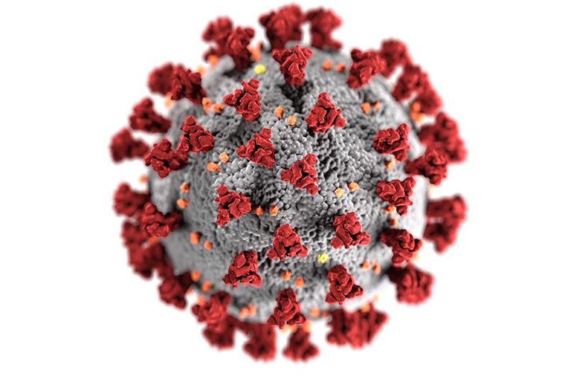 privacy and coronavirus